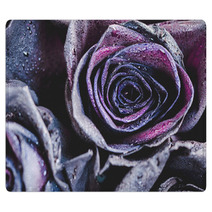 Macro Photography Of Purple Neon Roses With Raindrops Fantasy And Magic Concept Selective Focus Rugs 216372804