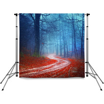 Magic Forest Road Backdrops 59095852