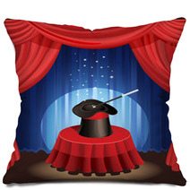 Magic Show Pillows 11820647