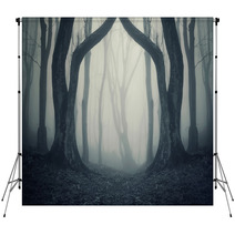 Magical Gate In Mysterious Forest With Fog Backdrops 85675164