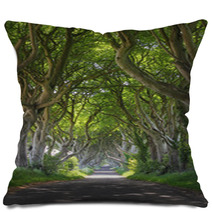 Magical Woods Of Dark Hedges Pillows 53315281