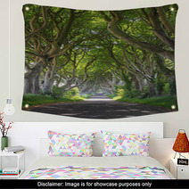 Magical Woods Of Dark Hedges Wall Art 53315281