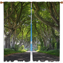 Magical Woods Of Dark Hedges Window Curtains 53315281