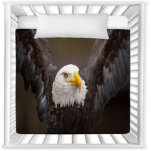 Majestic Bald Eagle Nursery Decor 53273804
