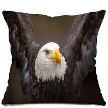 Majestic Bald Eagle Pillows 53273804