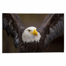 Majestic Bald Eagle Rugs 53273804
