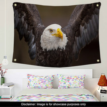 Majestic Bald Eagle Wall Art 53273804