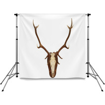 Majestic Red Deer Stag Hunting Trophy Backdrops 71693501