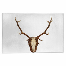Majestic Red Deer Stag Hunting Trophy Rugs 71693501