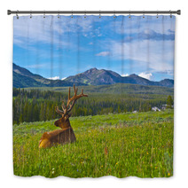 Male Elk With Large Antlers Bath Decor 39035652