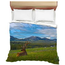 Male Elk With Large Antlers Bedding 39035652