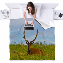Male Elk With Large Antlers Blankets 39035544