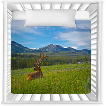 Male Elk With Large Antlers Nursery Decor 39035652