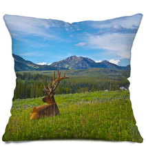 Male Elk With Large Antlers Pillows 39035652