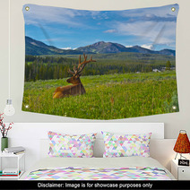Male Elk With Large Antlers Wall Art 39035652
