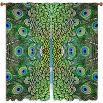 Male Green Peacock Feathers Window Curtains 65132424
