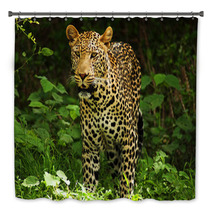 Male Leopard Bath Decor 2053305