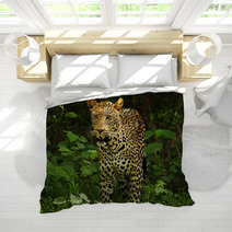 Male Leopard Bedding 2053305