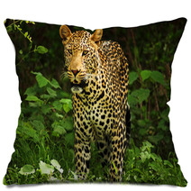 Male Leopard Pillows 2053305