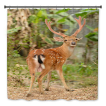 Male Sika Deer Bath Decor 53432401