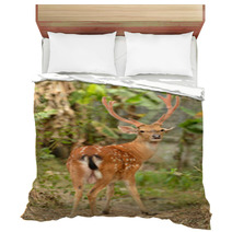 Male Sika Deer Bedding 53432401