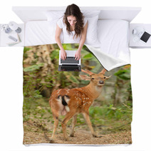 Male Sika Deer Blankets 53432401