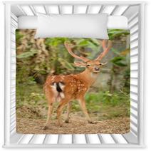 Male Sika Deer Nursery Decor 53432401