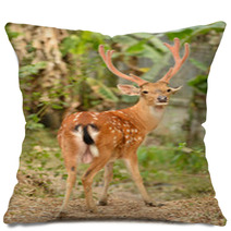 Male Sika Deer Pillows 53432401