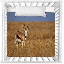 Male Springbok Nursery Decor 79526335
