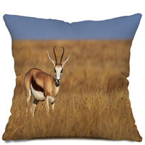 Male Springbok Pillows 79526335