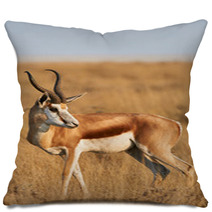Male Springbok Pillows 81465259