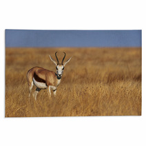 Male Springbok Rugs 79526335