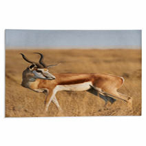 Male Springbok Rugs 81465259