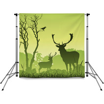 Male Stag Deer On A Meadow With Trees And Bird Backdrops 28983199