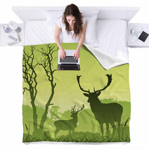 Male Stag Deer On A Meadow With Trees And Bird Blankets 28983199