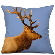 Male Tule Elk Close Up Outdoor Pillows 55504548