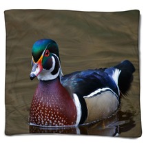 Male Wood Duck Blankets 49375884