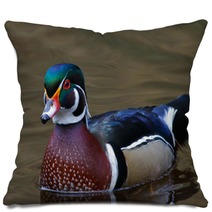 Male Wood Duck Pillows 49375884