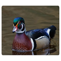 Male Wood Duck Rugs 49375884