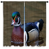 Male Wood Duck Window Curtains 49375884