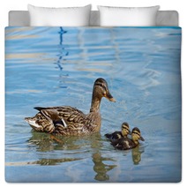 Mallard Or Wild Duck (anas Platyrhynchos) And Baby Bedding 66163734