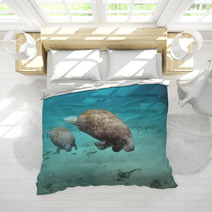 Manatee And Cow Bedding 27806136