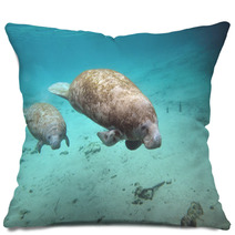 Manatee And Cow Pillows 27806136