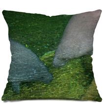 Manatees Pillows 81504475