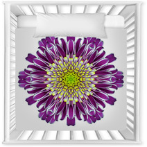 Mandala Chrysanthemum Flower Kaleidoscope Isolated On White Nursery Decor 57088788