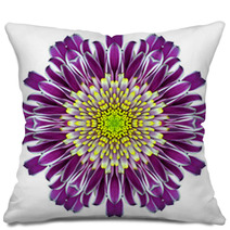 Mandala Chrysanthemum Flower Kaleidoscope Isolated On White Pillows 57088788