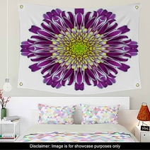 Mandala Chrysanthemum Flower Kaleidoscope Isolated On White Wall Art 57088788