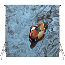 Mandarin Duck Floats In A Pond In Winter Day Backdrops 80319810