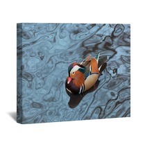Mandarin Duck Floats In A Pond In Winter Day Wall Art 80319810