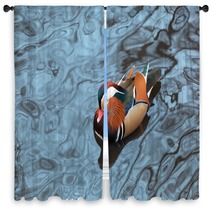Mandarin Duck Floats In A Pond In Winter Day Window Curtains 80319810